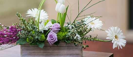 SPRING FLOWERS, SPRING FLOWERS